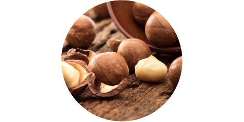 Macadamia Nut (WFSC)